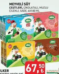 SÜTAŞ MEYVELİ SÜT ÇEŞİTLERİ 6X180 ML fiyat ve kampanya bilgisi